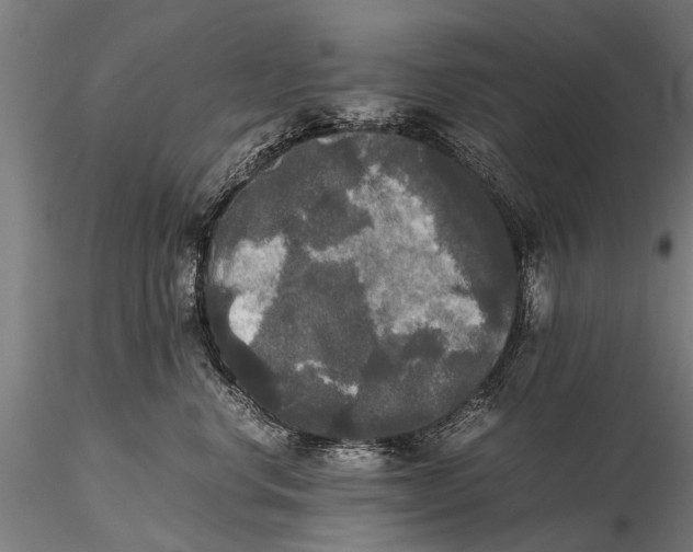 X0000115660668200912031334