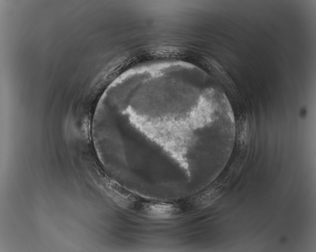 X0000115660669200912031334