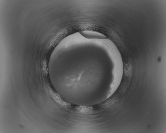 X0000115660670200912031334