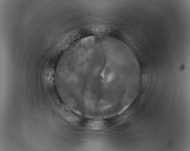 X0000115660671200912031334