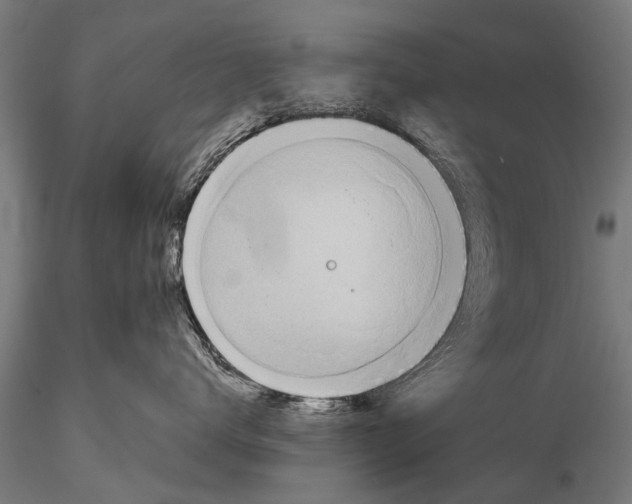 X0000115660672200912031334