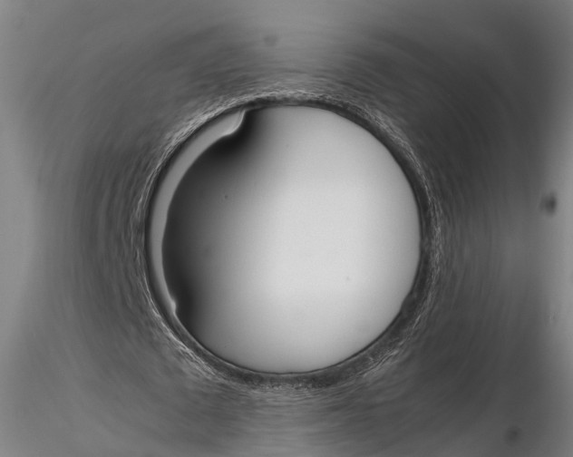 X0000115660673200912031333