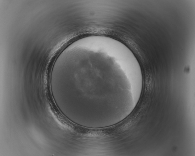 X0000115660674200912031333