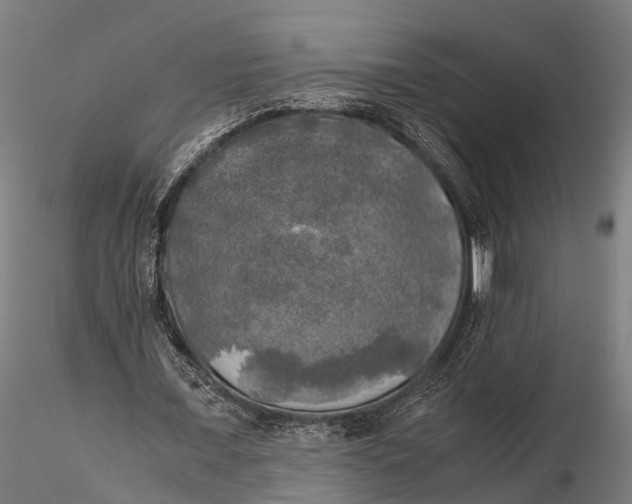 X0000115660675200912031333