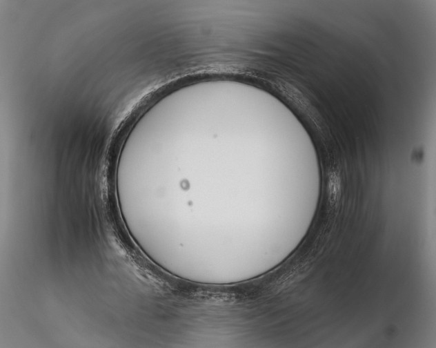 X0000115660676200912031333