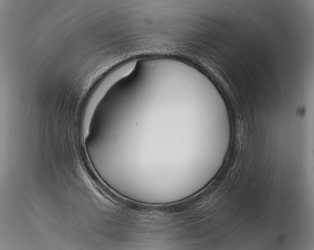 X0000115660677200912031333