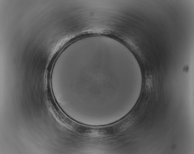 X0000115660678200912031333