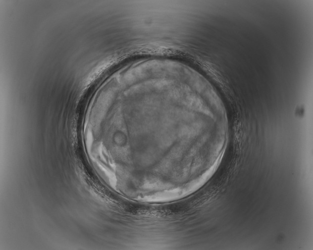 X0000115660679200912031333