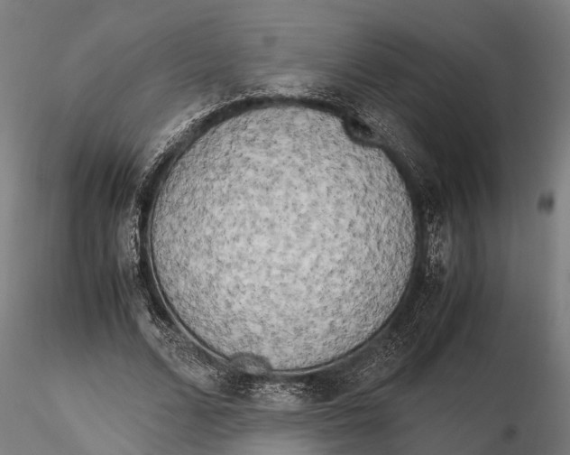 X0000115660680200912031333