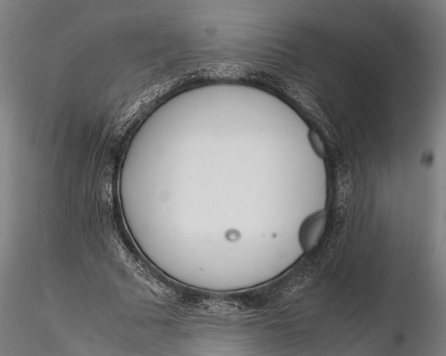 X0000115660681200912031333