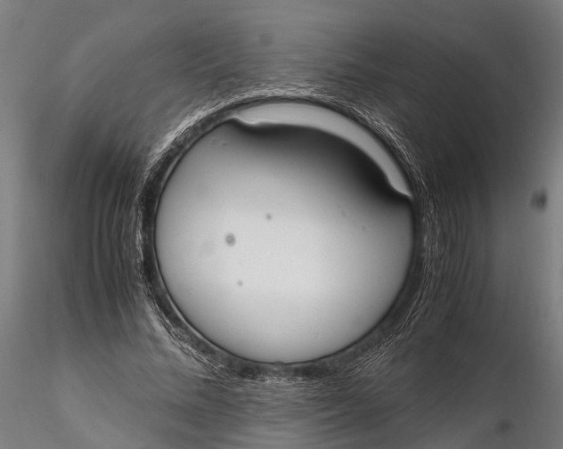 X0000115660684200912031333