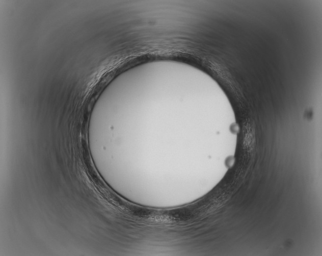 X0000115660685200912031333