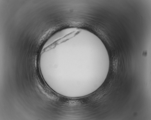 X0000115660686200912031333