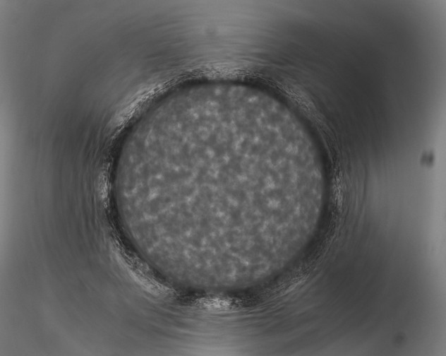 X0000115660687200912031333