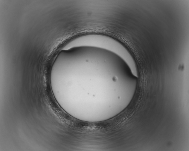 X0000115660688200912031333