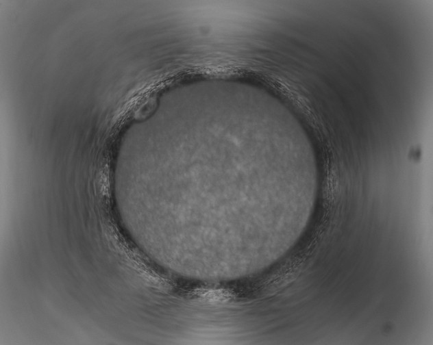 X0000115660689200912031333