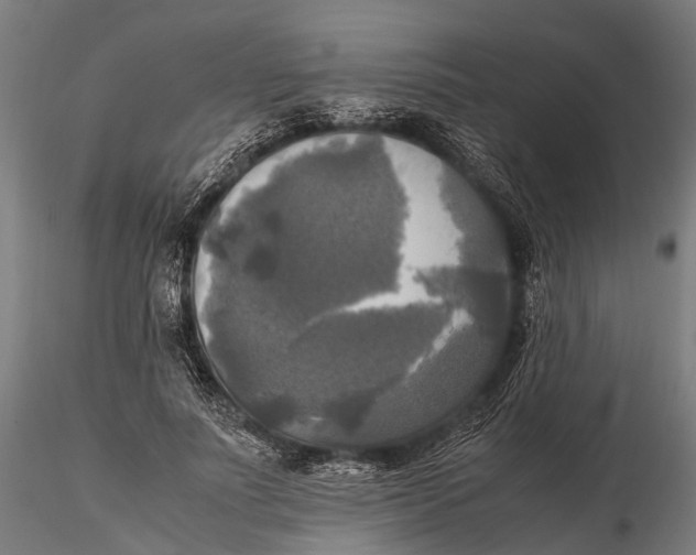 X0000115660691200912031333