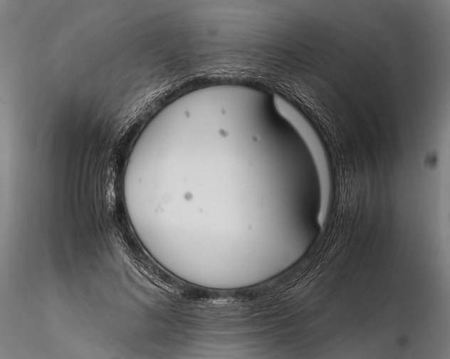 X0000115660692200912031333