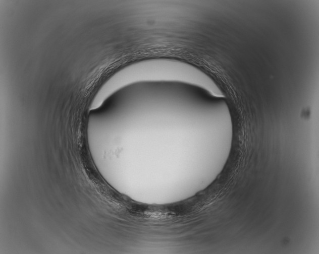 X0000115660693200912031333