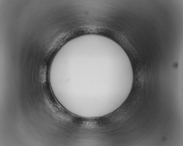 X0000115660694200912031333