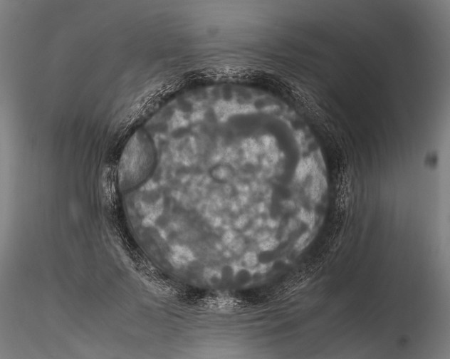 X0000115660695200912031333