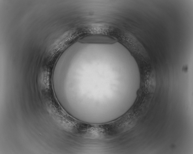 X0000115660696200912031333