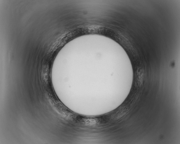 X0000115660698200912031333