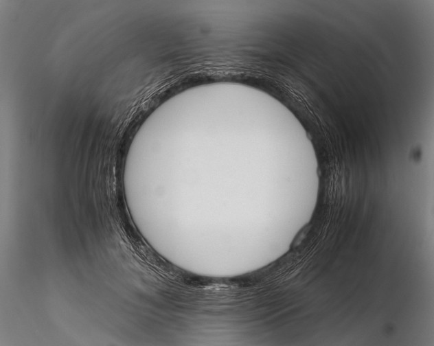 X0000115660700200912031332