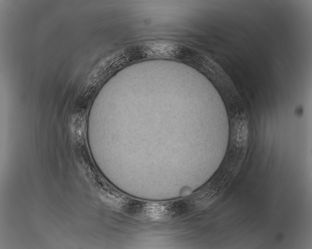 X0000115660701200912031332