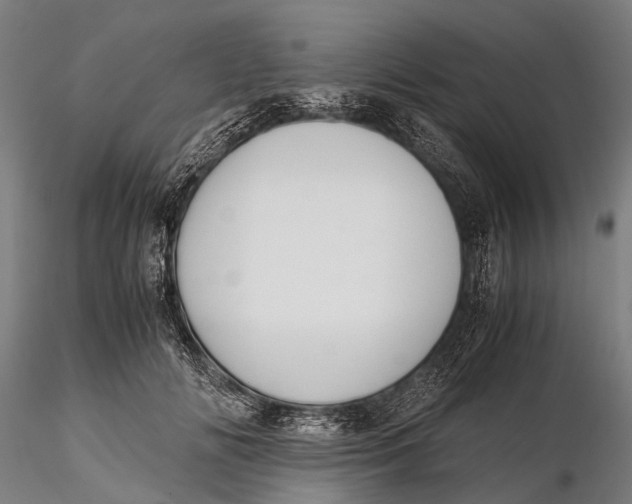 X0000115660702200912031332