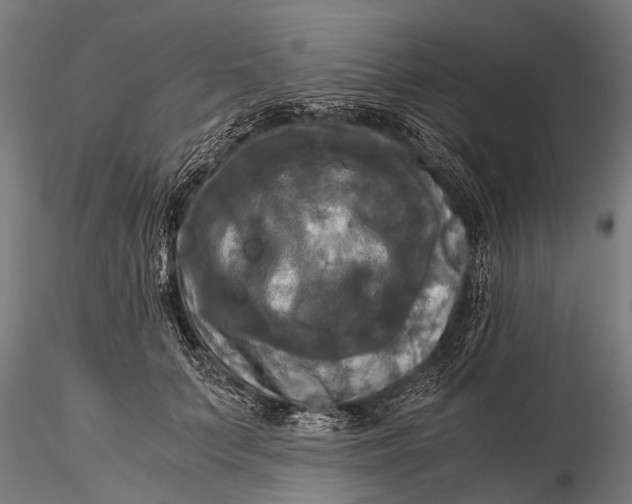 X0000115660703200912031332