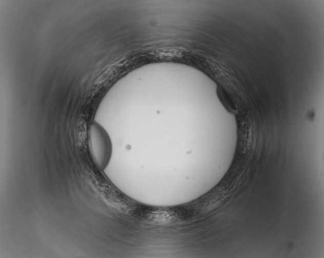 X0000115660704200912031332