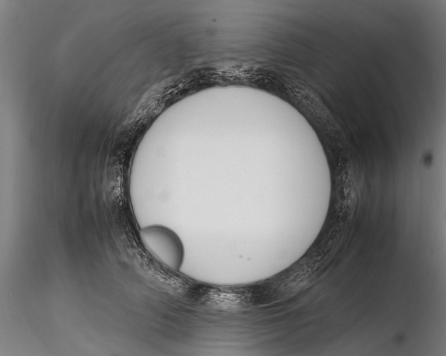 X0000115660706200912031332