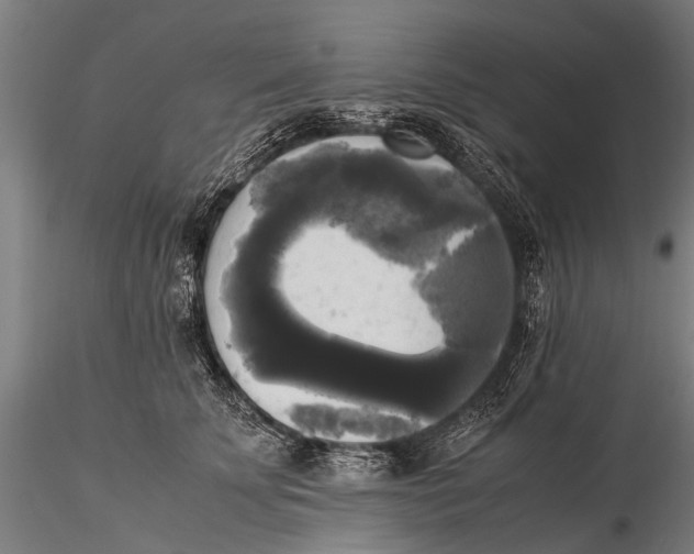 X0000115660707200912031332