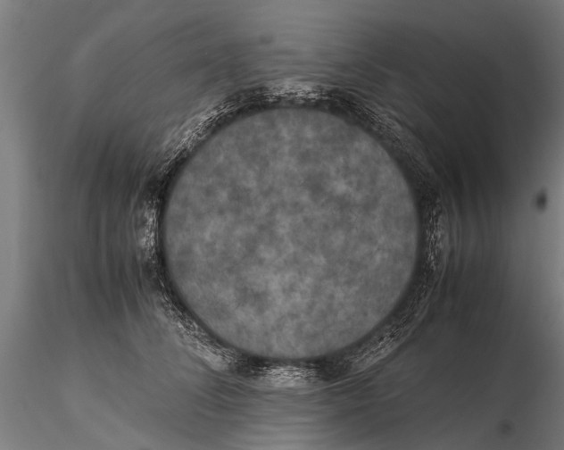 X0000115660708200912031332