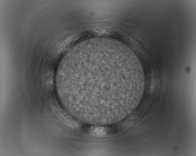 X0000115660710200912031332