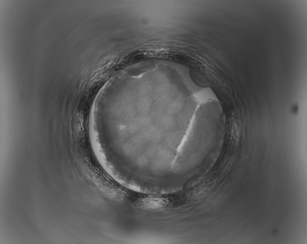 X0000115660711200912031332