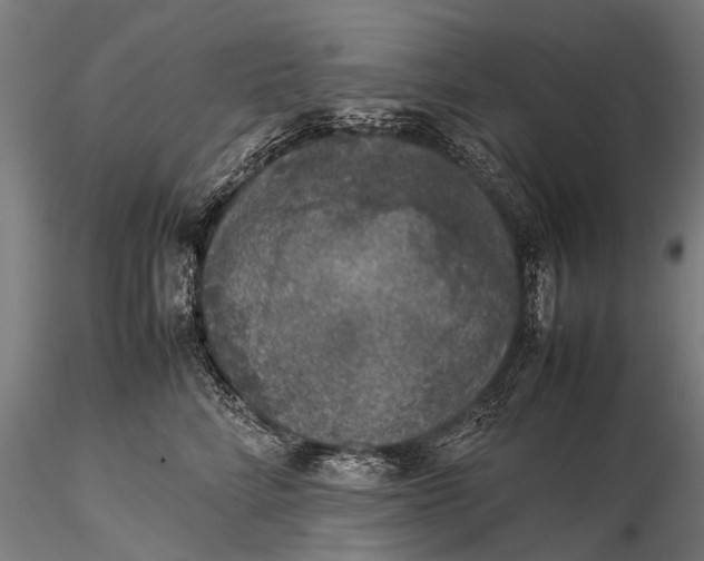 X0000115660712200912031332