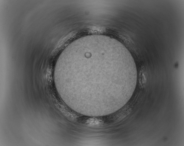 X0000115660714200912031332