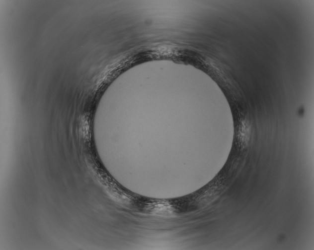 X0000115660715200912031332