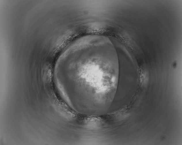 X0000115660716200912031332