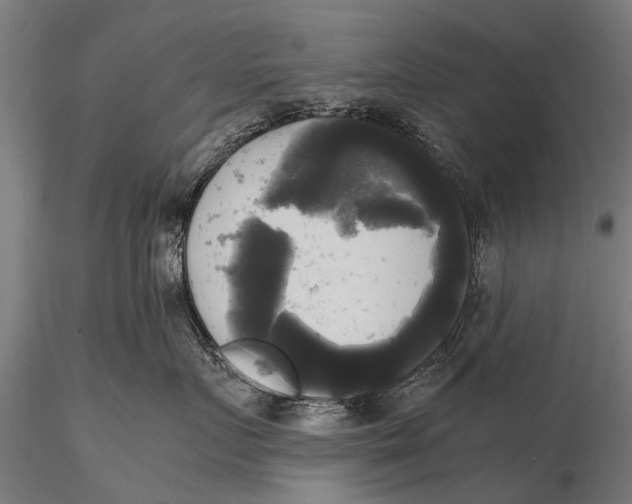 X0000115660719200912031332