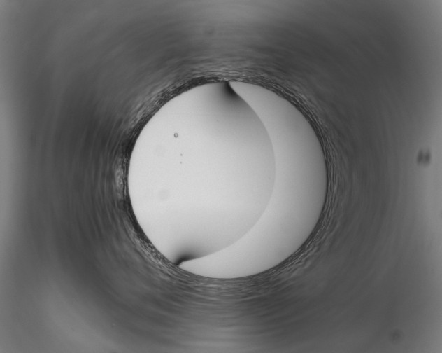 X0000115660720200912031332