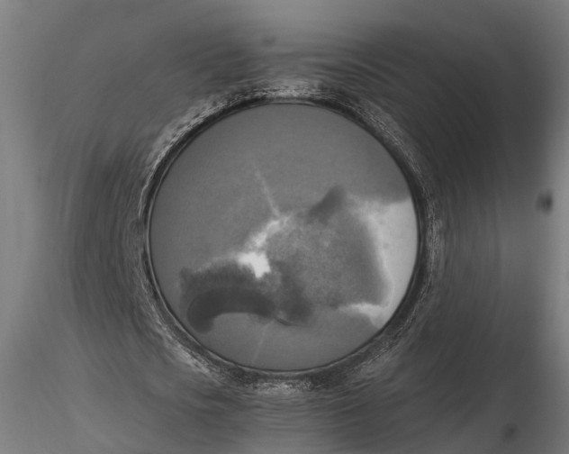 X0000115660721200912031331