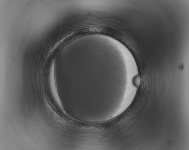 X0000115660722200912031331