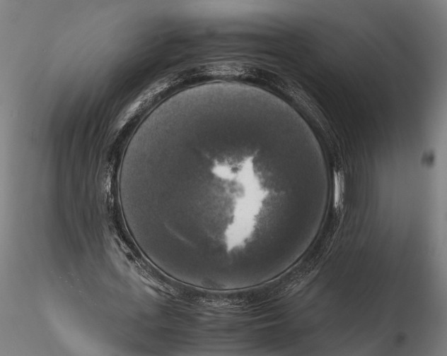 X0000115660723200912031331