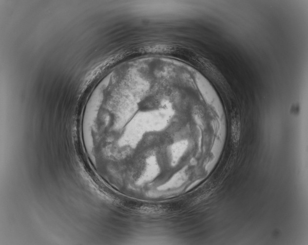 X0000115660725200912031331