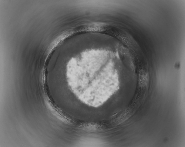 X0000115660726200912031331