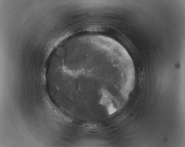 X0000115660727200912031331