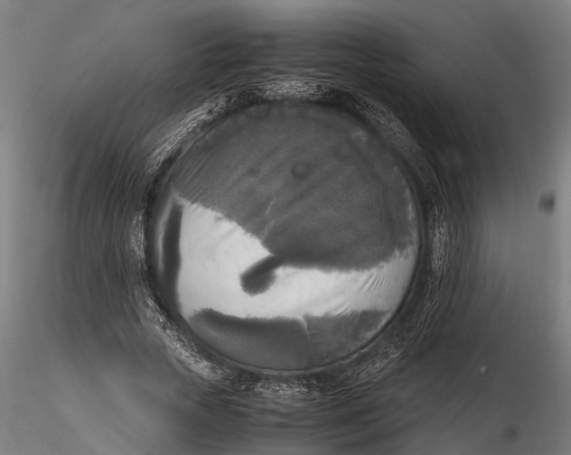 X0000115660729200912031331